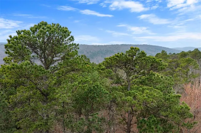 Photo 4 — 000 TBD Boktuklo Valley, Honobia, OK 74549
