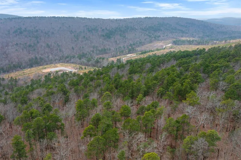 Photo 5 — 000 TBD Boktuklo Valley, Honobia, OK 74549
