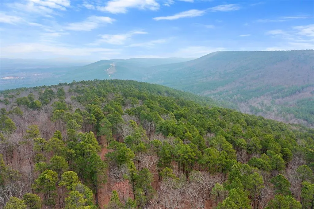 Photo 6 — 000 TBD Boktuklo Valley, Honobia, OK 74549