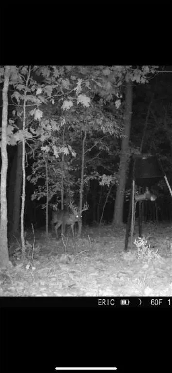 Photo 47 — 000 TBD Boktuklo Valley, Honobia, OK 74549