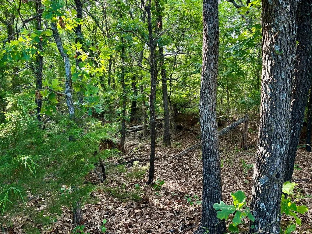 Photo 5 — SE 192nd Street, Wanette, OK 74878
