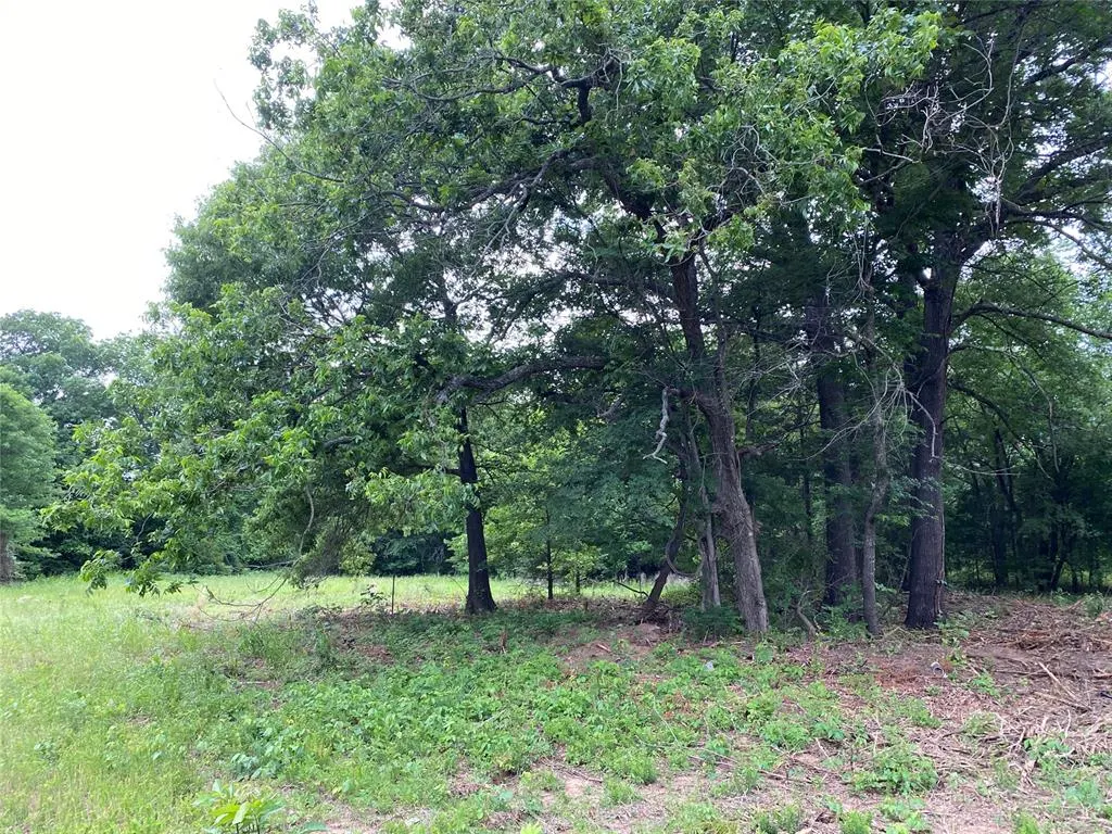 Photo 5 — 2385 HWY 75, Wetumka, OK 74883