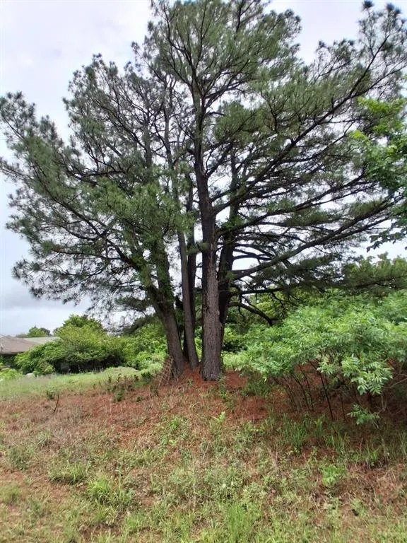 Photo 11 — 30 Limberlost, McLoud, OK 74851