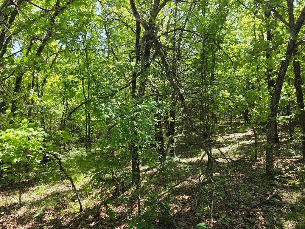 Photo 6 — 100080 N 3610 Road, Paden, OK 74860