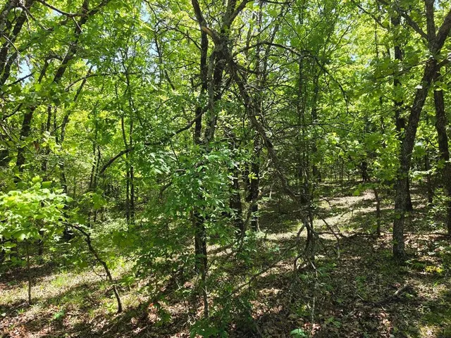 Photo 6 — 100080 N 3610 Road, Paden, OK 74860