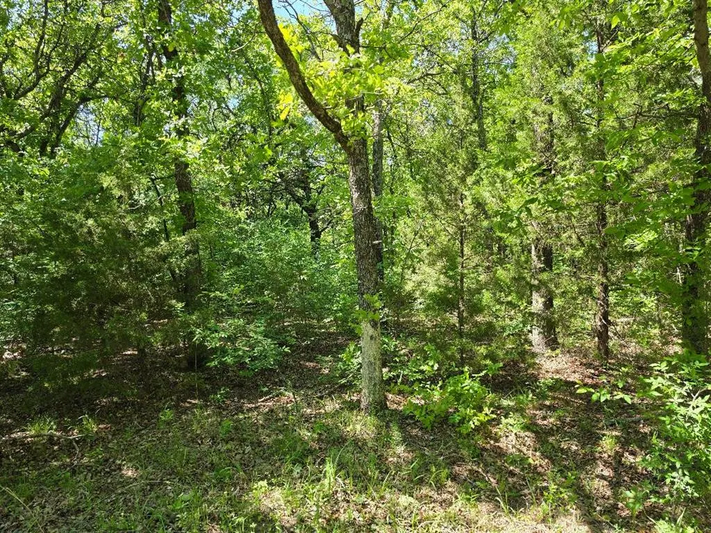 Photo 9 — 100080 N 3610 Road, Paden, OK 74860