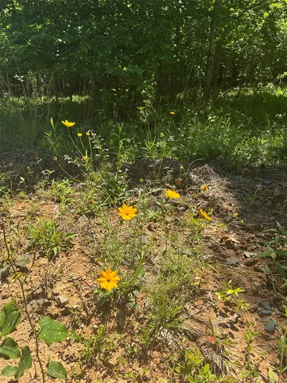 Photo 5 — 55 Vista Ridge Trail, Watson, OK 74957