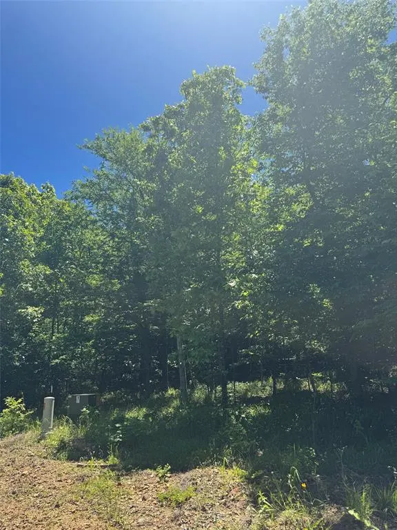 Photo 6 — 55 Vista Ridge Trail, Watson, OK 74957