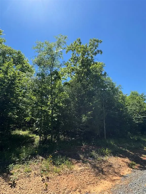 Photo 6 — 56 Vista Ridge Trail, Watson, OK 74957