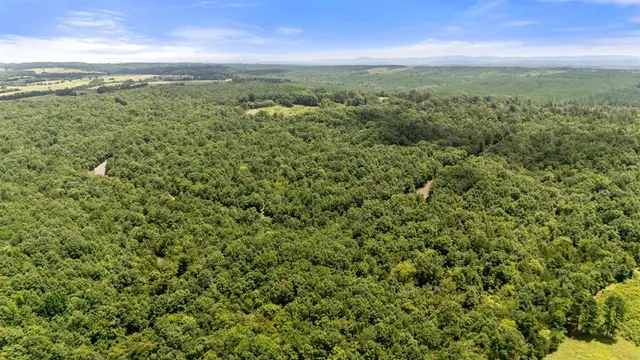 Photo 3 — 56 Vista Ridge Trail, Watson, OK 74957