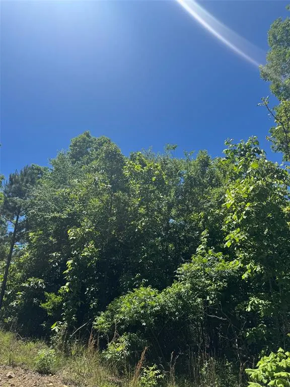 Photo 6 — 60 Vista Ridge Trail, Watson, OK 74957