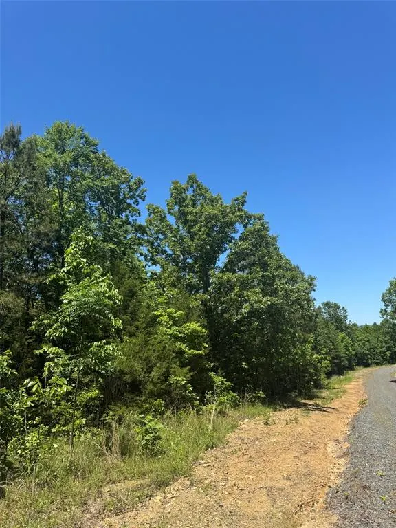 Photo 5 — 60 Vista Ridge Trail, Watson, OK 74957