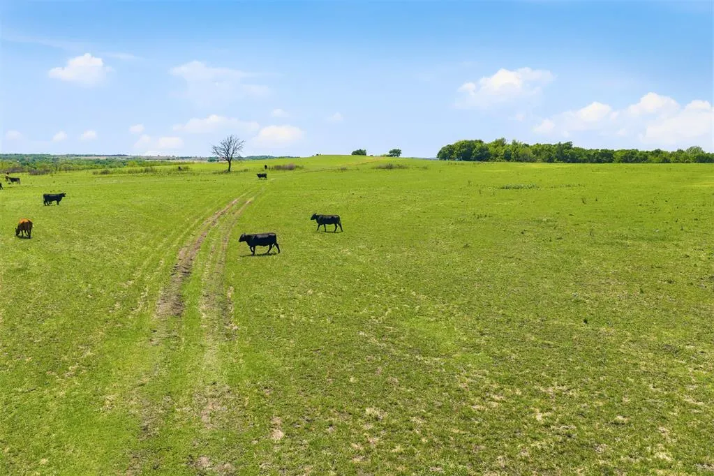 Photo 6 — Fairview Road 7, Davis, OK 73030