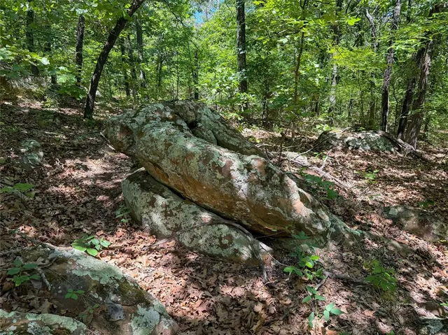 Photo 5 — Dentonville Road, Okmulgee, OK 74447