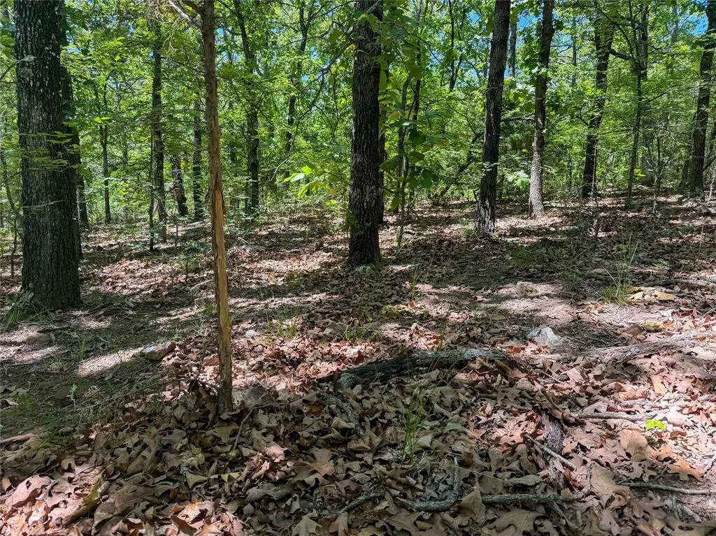 Photo 13 — Dentonville Road, Okmulgee, OK 74447
