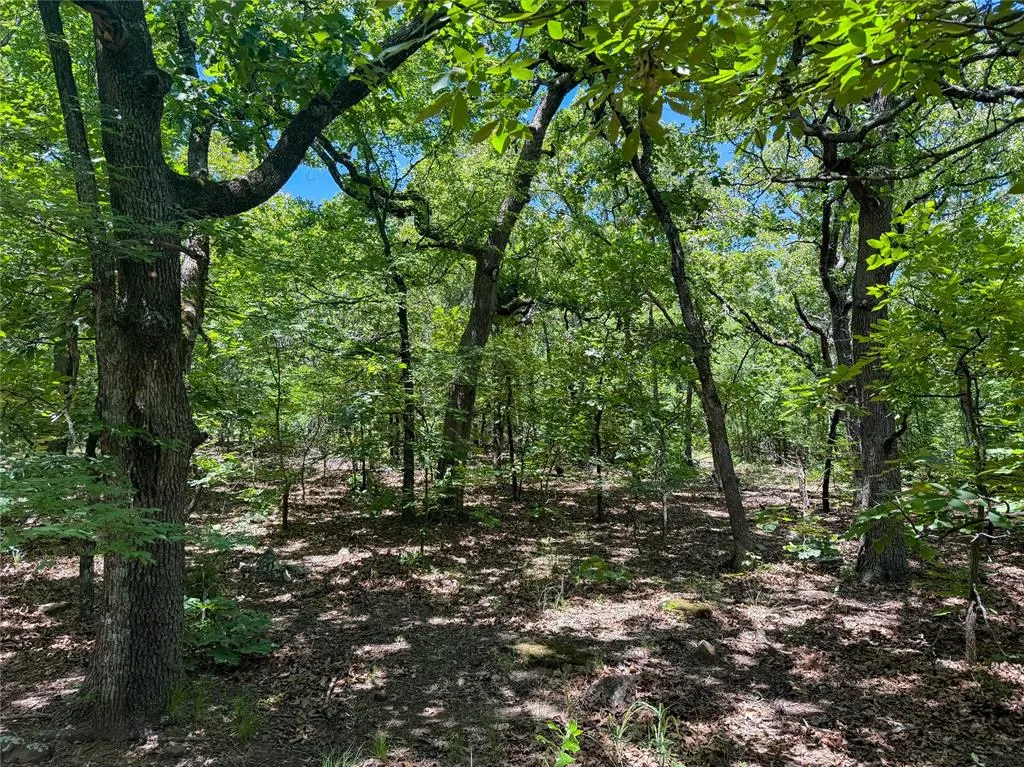 Photo 14 — Dentonville Road, Okmulgee, OK 74447