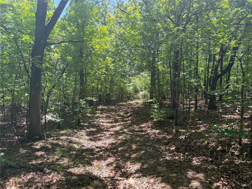 Photo 15 — Dentonville Road, Okmulgee, OK 74447