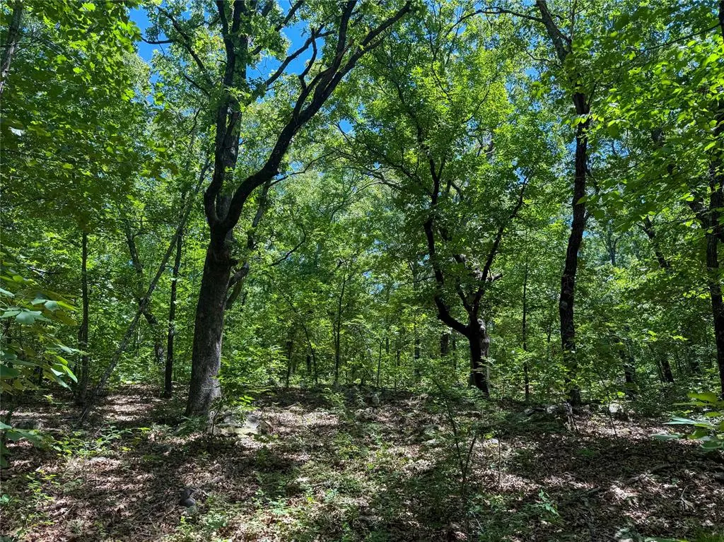 Photo 17 — Dentonville Road, Okmulgee, OK 74447