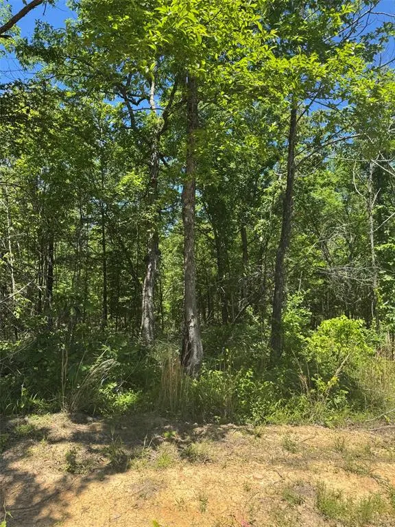 Photo 5 — 63 Hillside Way, Watson, OK 74957