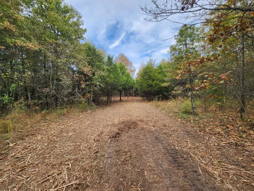 Photo 6 — E 1160 Road, Checotah, OK 74426