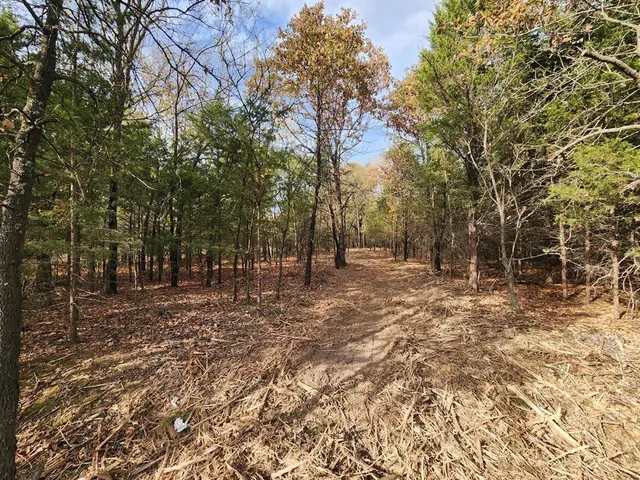Photo 8 — E 1160 Road, Checotah, OK 74426