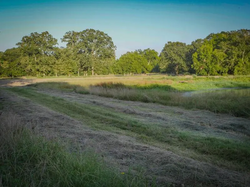 Photo 14 — 385001 E 1150 RD Road, Weleetka, OK 74880