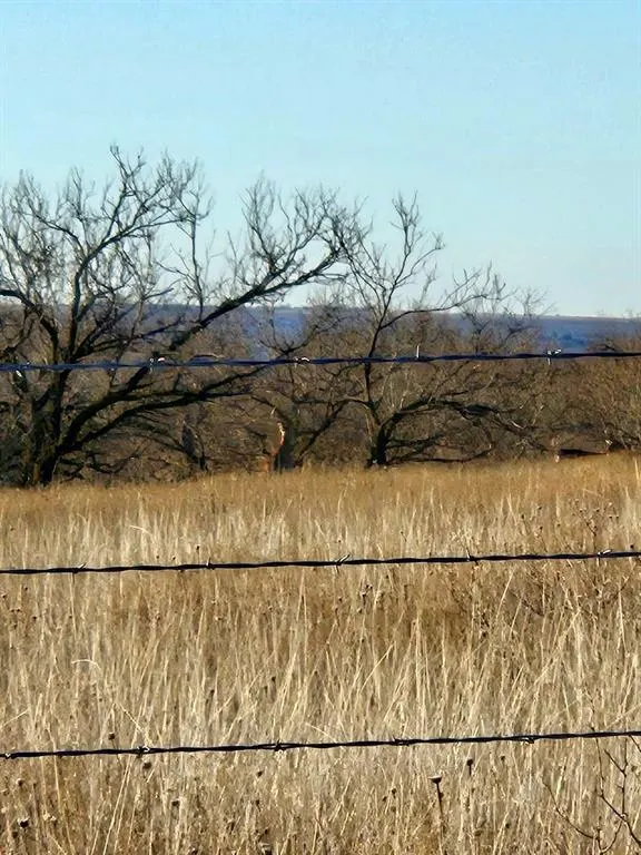 Photo 42 — 29845 E County Road 1470 Road, Mangum, OK 73554