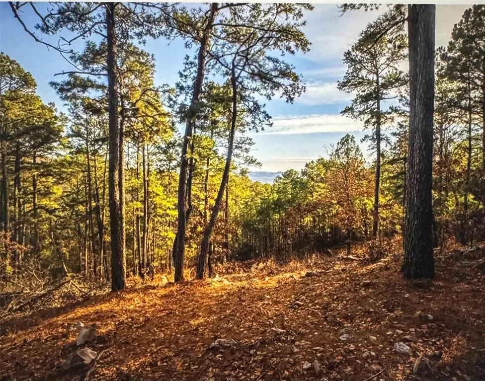 Photo 2 — 177499 Box Springs Mountain Road, Moyers, OK 74557