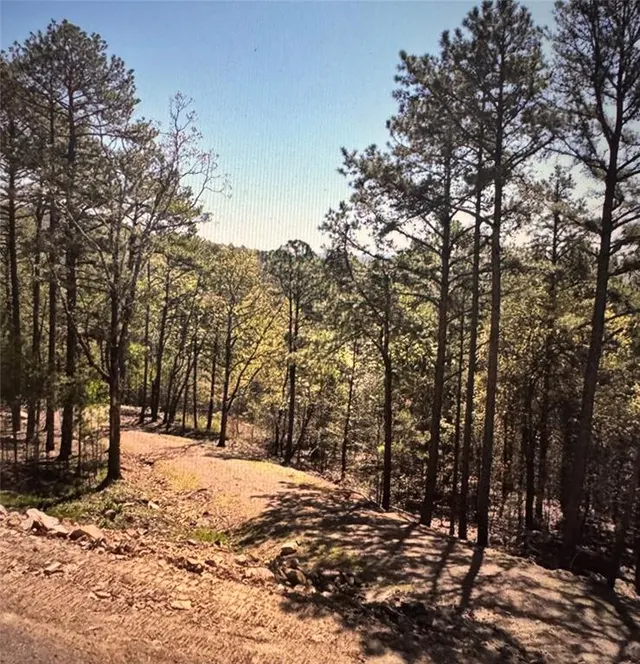 Photo 3 — 177499 Box Springs Mountain Road, Moyers, OK 74557