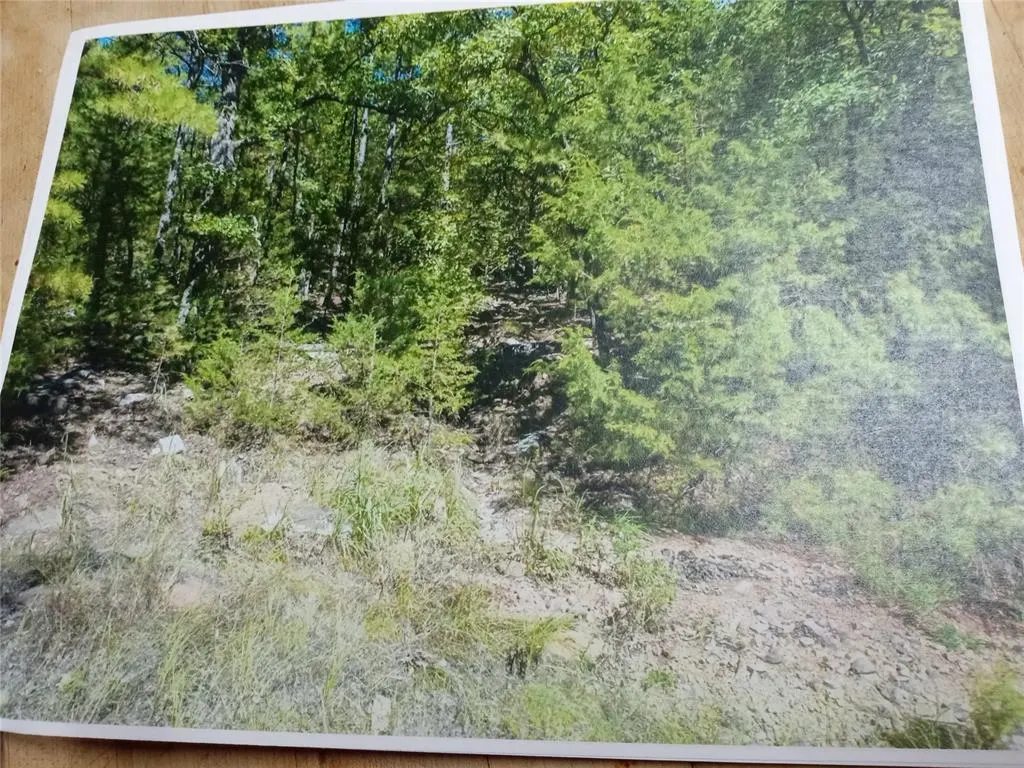 Photo 4 — 177499 Box Springs Mountain Road, Moyers, OK 74557