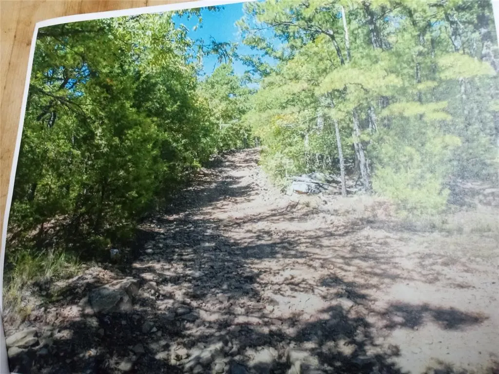 Photo 5 — 177499 Box Springs Mountain Road, Moyers, OK 74557