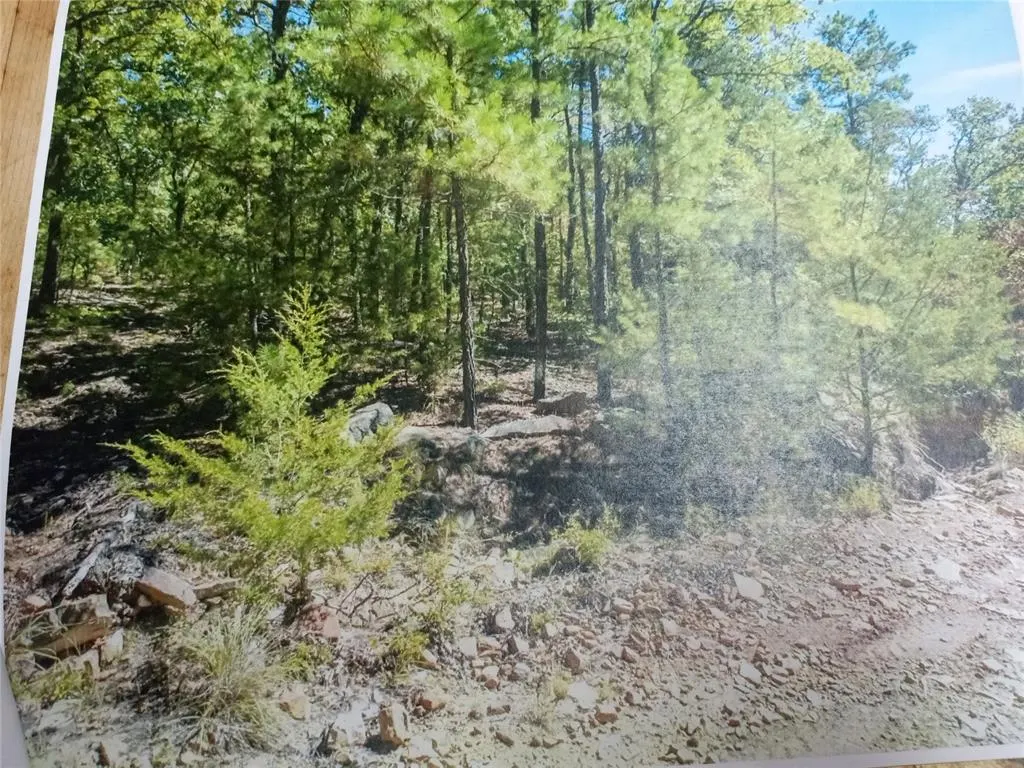 Photo 7 — 177499 Box Springs Mountain Road, Moyers, OK 74557