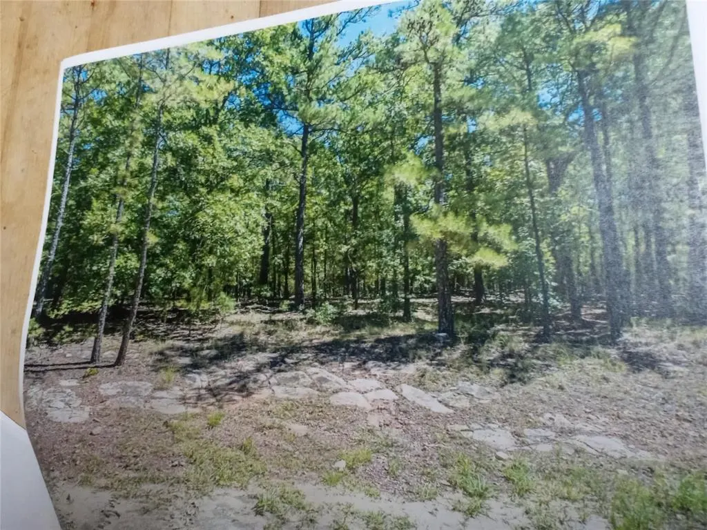 Photo 9 — 177499 Box Springs Mountain Road, Moyers, OK 74557
