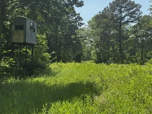 Photo 7 — 0000 0000 W County Rd 1350, Kinta, OK 74552