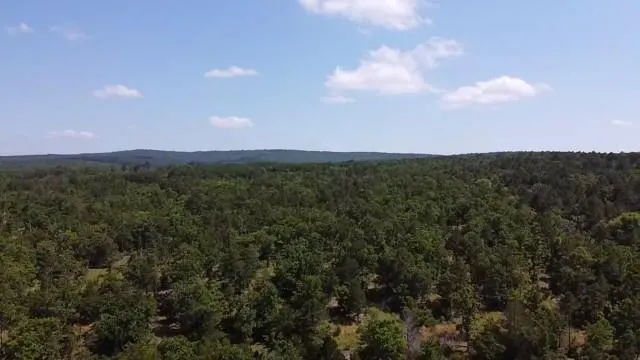 Photo 8 — 0000 0000 W County Rd 1350, Kinta, OK 74552
