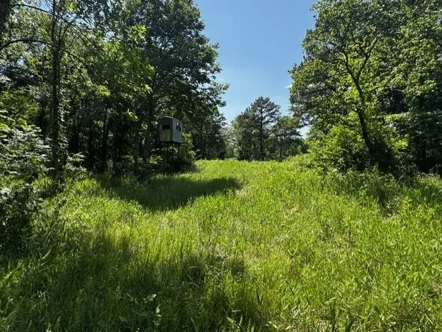 Photo 14 — 0000 0000 W County Rd 1350, Kinta, OK 74552