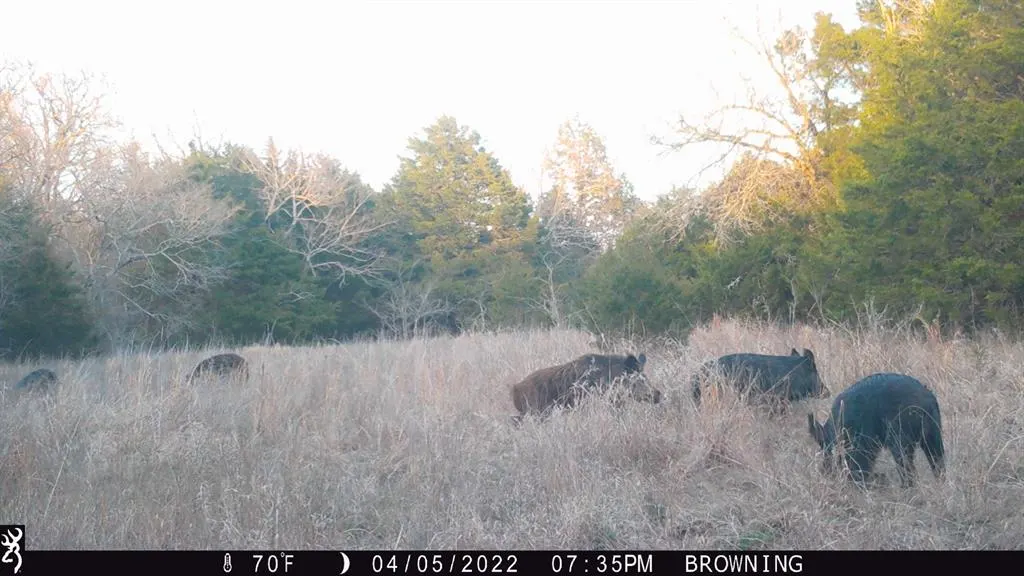 Photo 9 — 9420 E 120 Road, Dustin, OK 74839