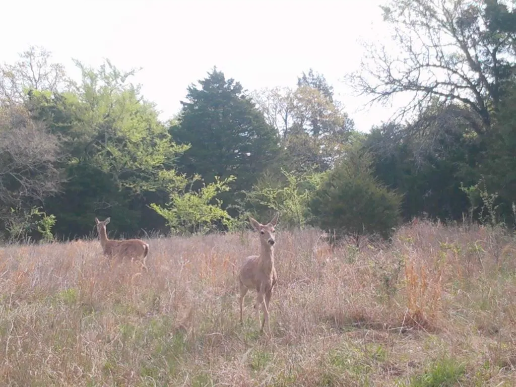 Photo 12 — 9420 E 120 Road, Dustin, OK 74839