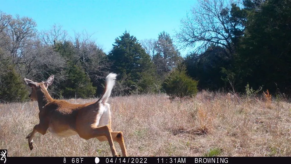 Photo 13 — 9420 E 120 Road, Dustin, OK 74839