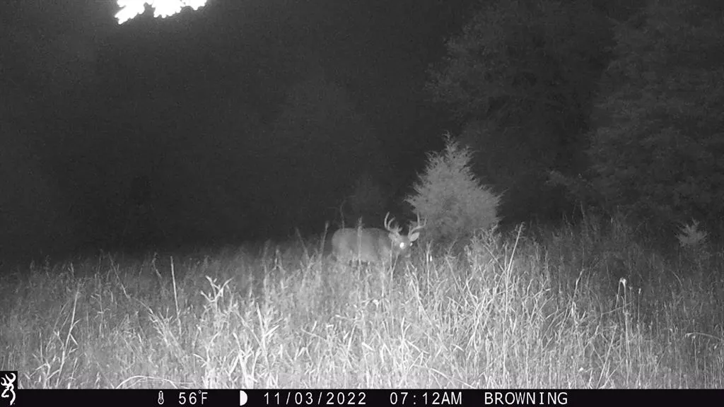 Photo 14 — 9420 E 120 Road, Dustin, OK 74839