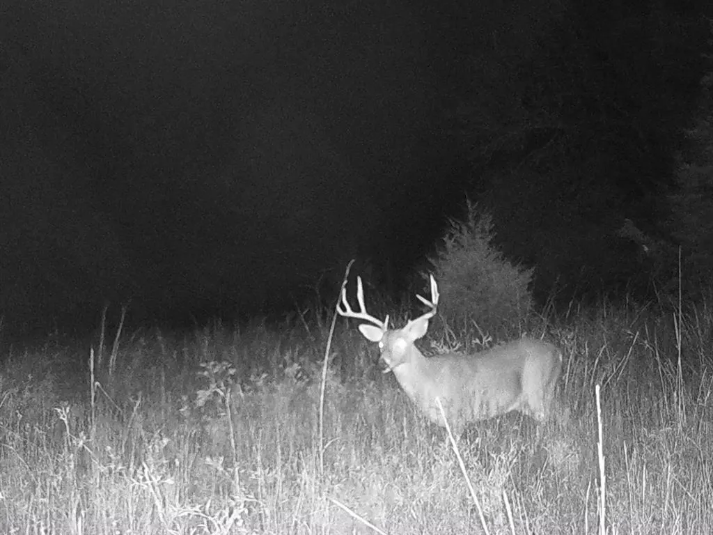 Photo 15 — 9420 E 120 Road, Dustin, OK 74839