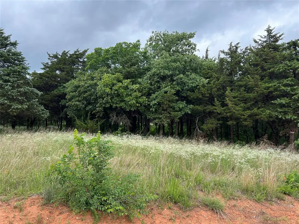 Photo 3 — 9740 Cedar View Lane, Guthrie, OK 73044