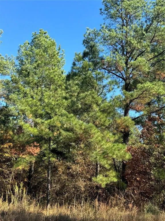 Photo 2 — 205 Bear Cedar Trail, Broken Bow, OK 74728