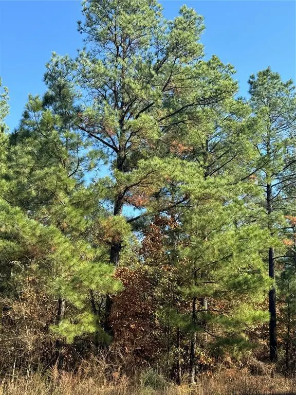 Photo 3 — 205 Bear Cedar Trail, Broken Bow, OK 74728