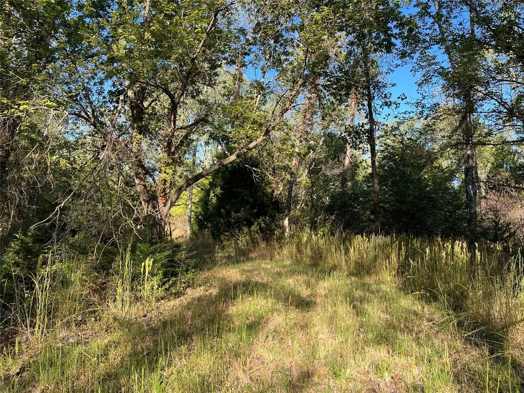 Photo 17 — 0 E County Rd 1570 Road, Pauls Valley, OK 73075