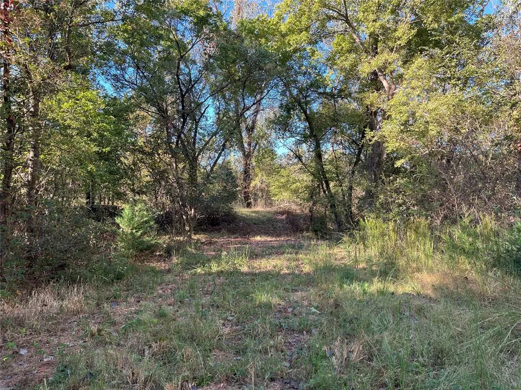 Photo 19 — 0 E County Rd 1570 Road, Pauls Valley, OK 73075
