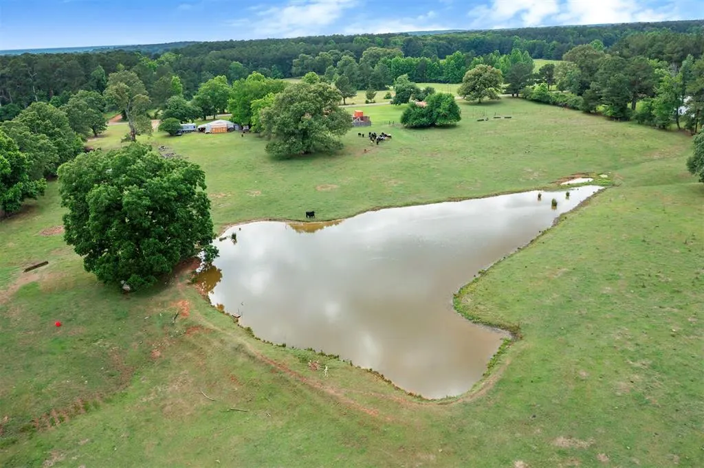 Photo 46 — 2352 Pollard Road, Haworth, OK 74740