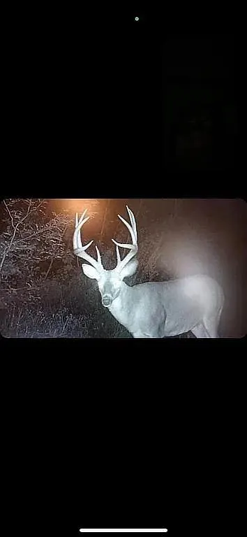 Photo 18 — 0002 County Road 3416, Byars, OK 74831