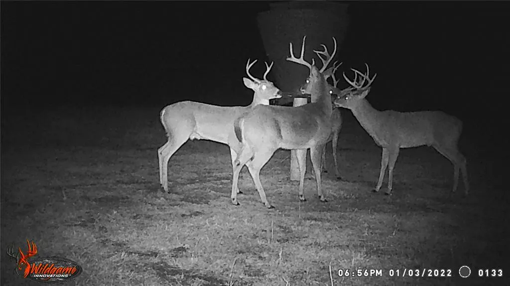 Photo 38 — 376098 E 990 Road, Okemah, OK 74859