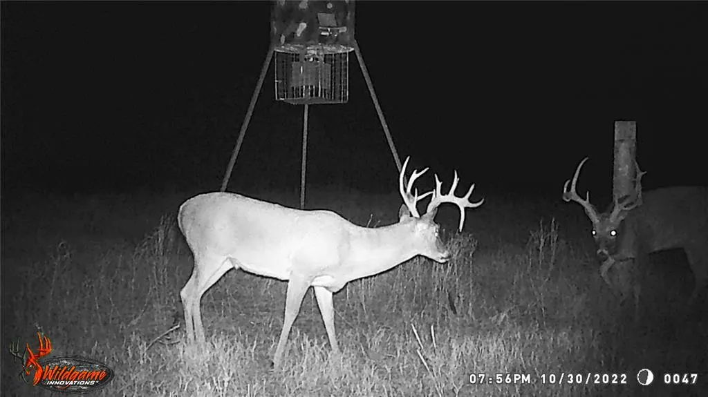 Photo 42 — 376098 E 990 Road, Okemah, OK 74859